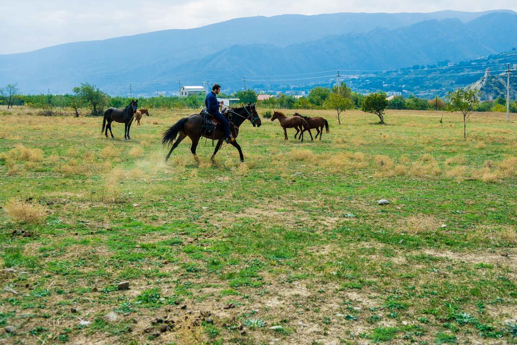 Zedazeni Hotel Mtsʼkhetʼa エクステリア 写真